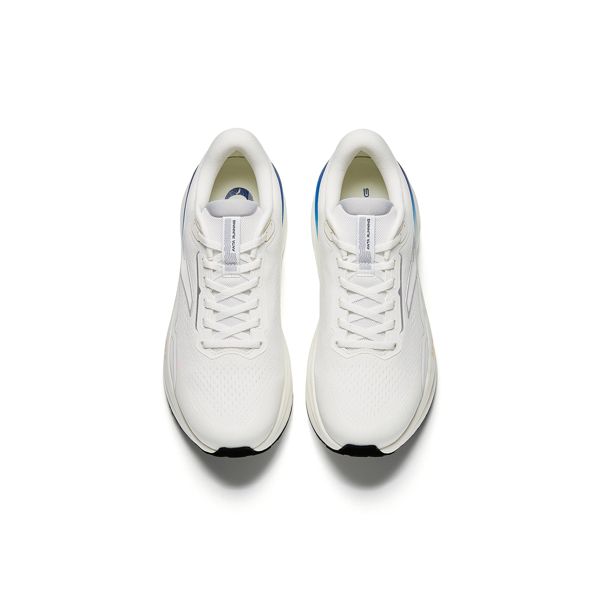 ANTA PG7 2.5 Homme