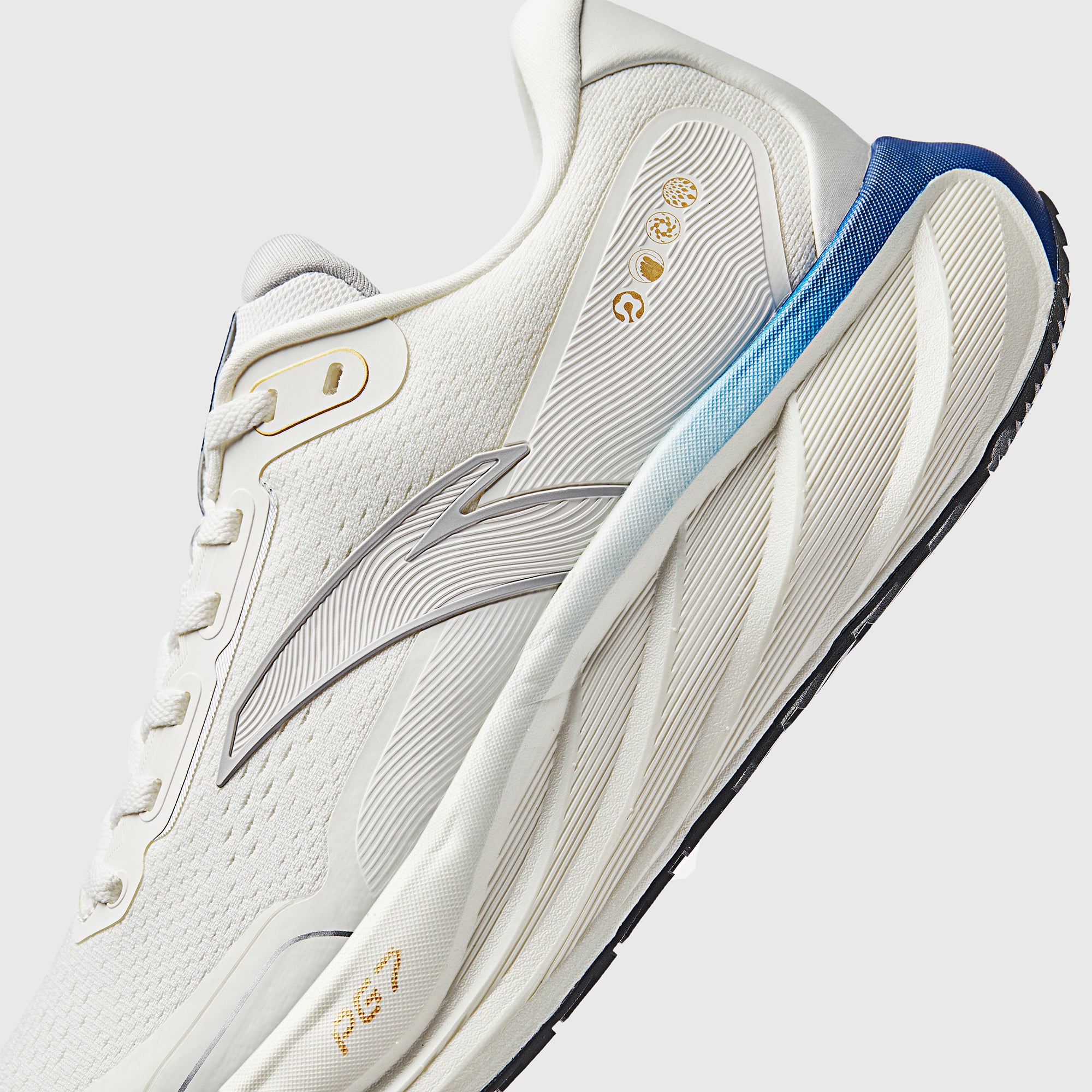 ANTA PG7 2.5 Homme