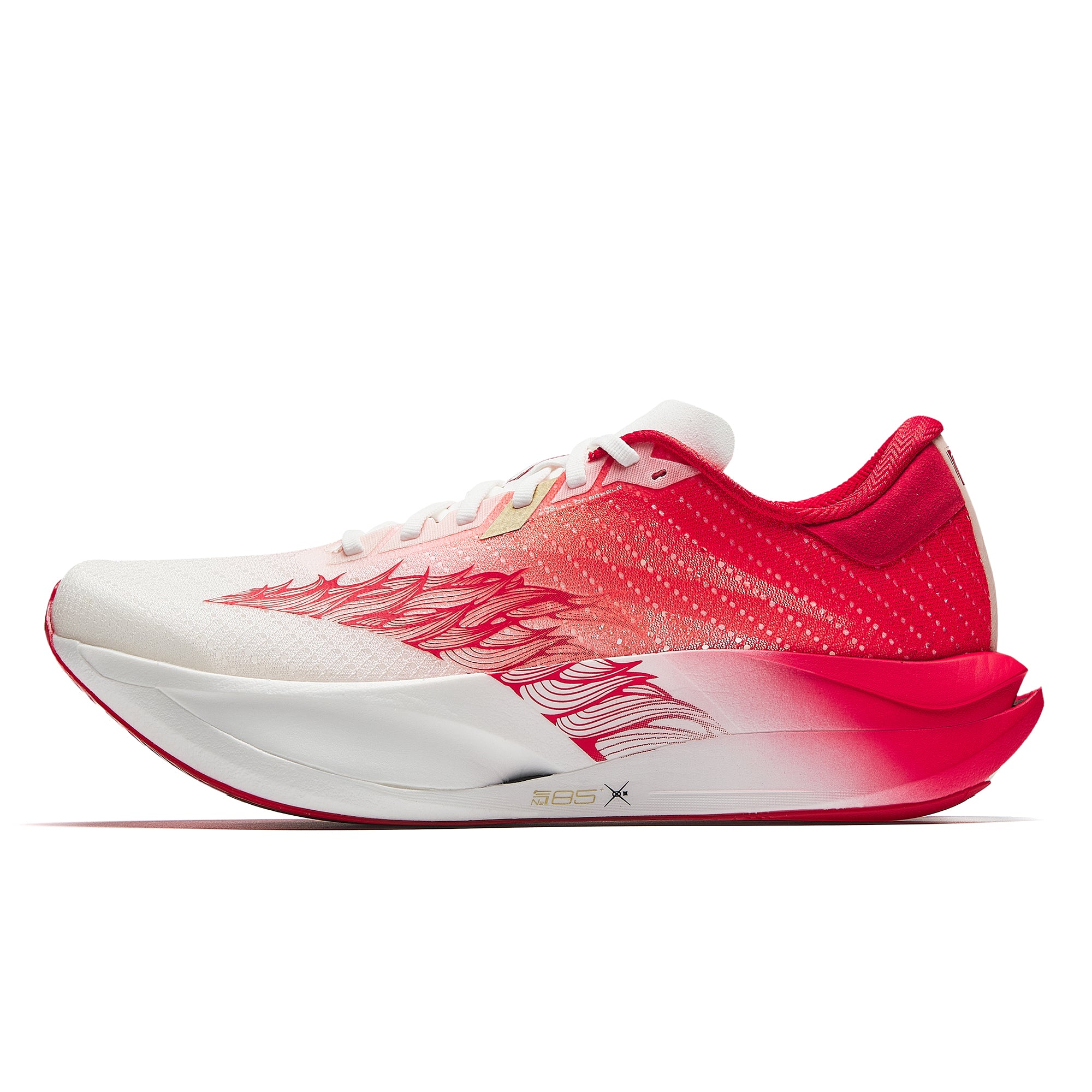 ANTA C202 7 Homme
