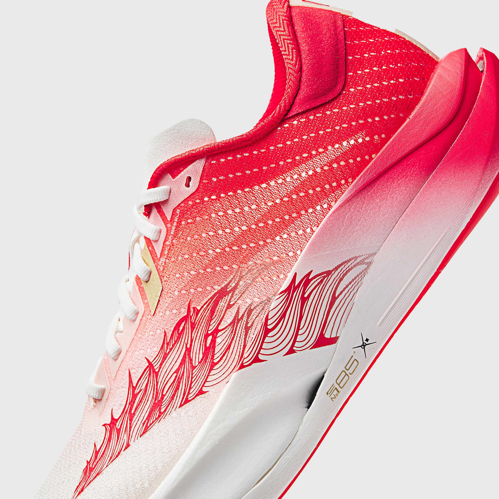ANTA C202 7 Homme