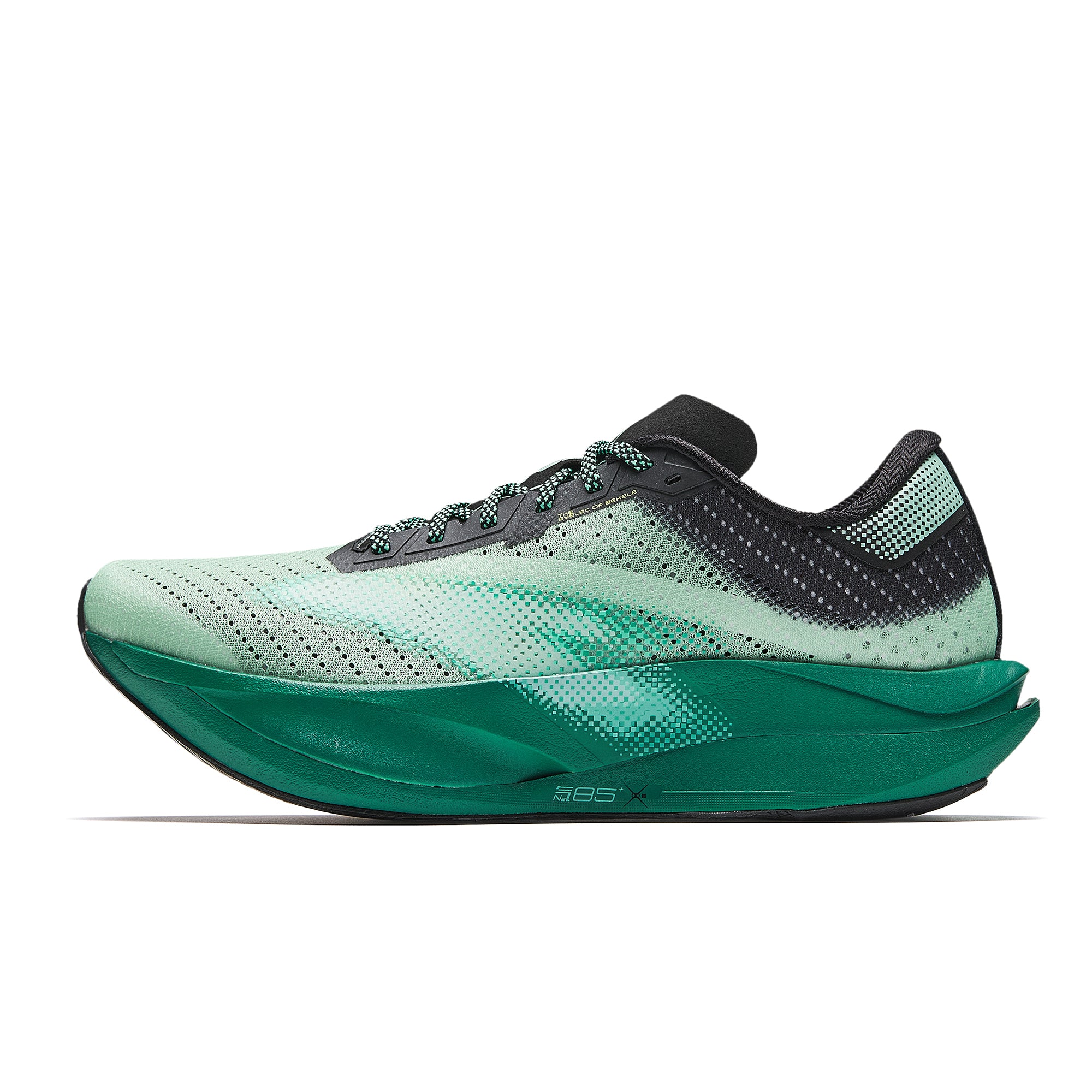 ANTA C202 7 Homme