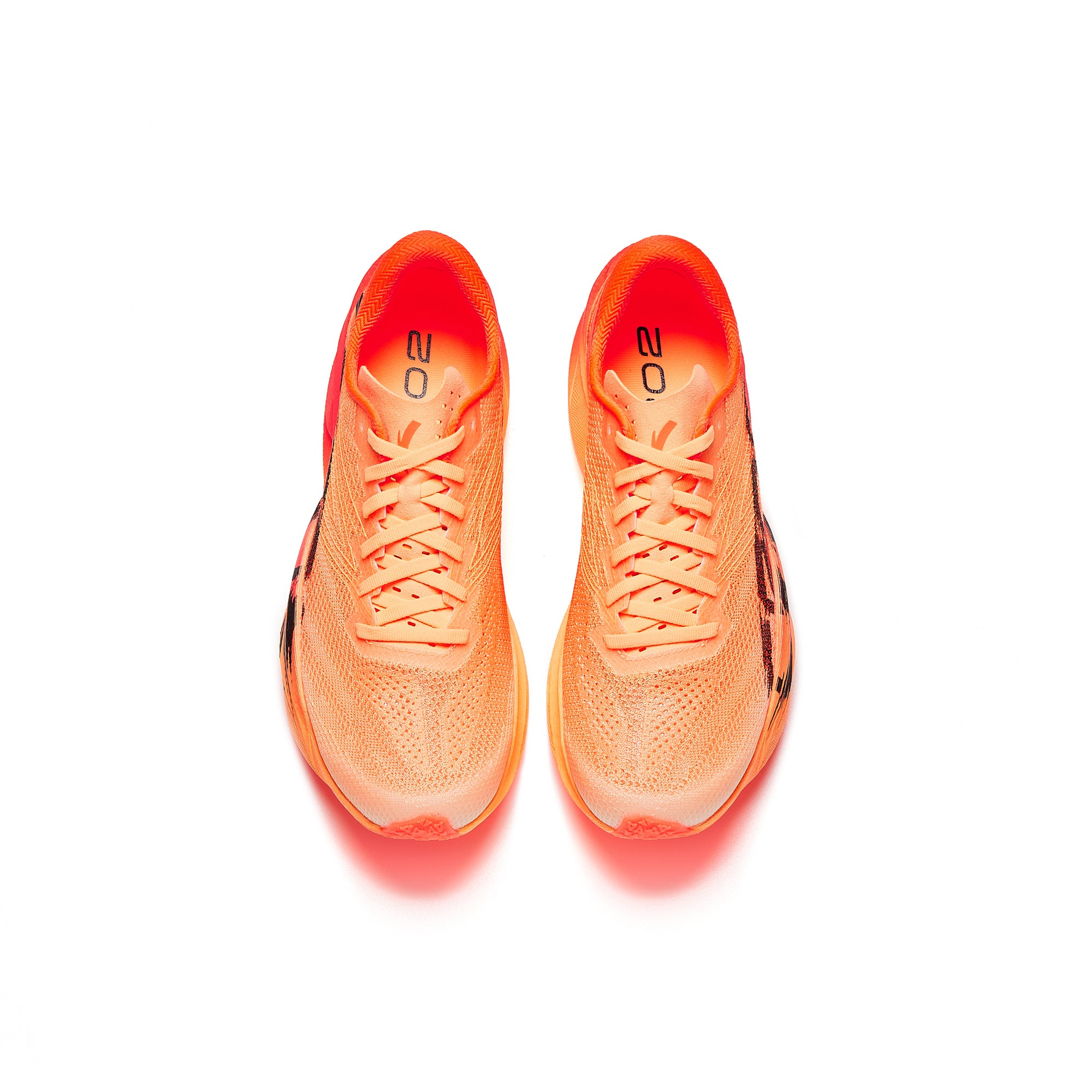 ANTA C202 6 Homme